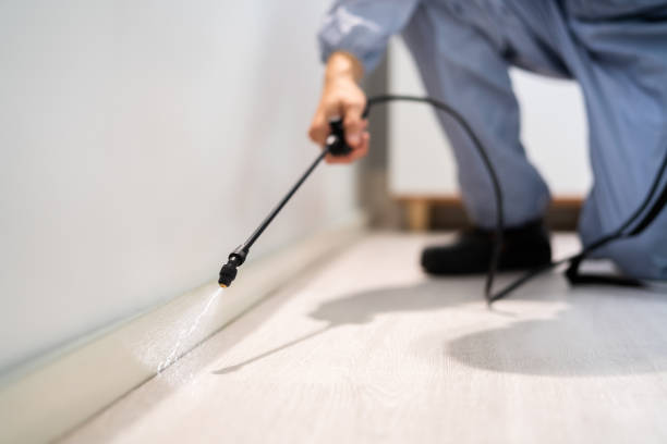 Licensed Rodent Control service in Logan County County, NE - Nex Pest Control